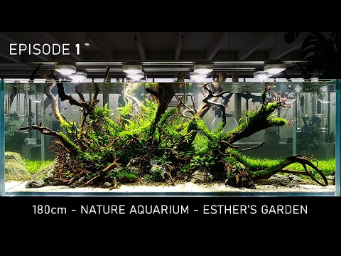EP01 - 180cm NATURE AQUARIUM - Esther's Garden