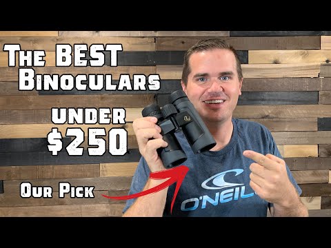 Leupold BX-2 Alpine Binocular Owners Review - The Best Optics under $250