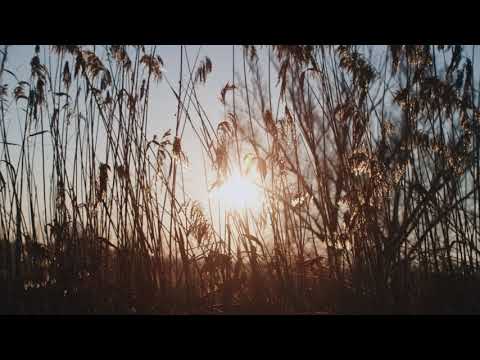 Yashica Vintage lenes on a Zcam E2-M4