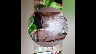 how to make magnet rakhi #PART 1 #rakshabandhanspecial #rakshabandhan2021 #rakshabandhangifts