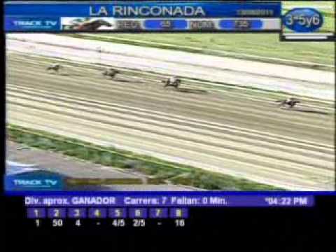Resumen Sábado 13 de agosto 2011 - La Rinconada