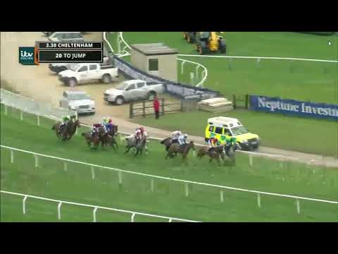 2017 Timico, Cheltenham Gold Cup