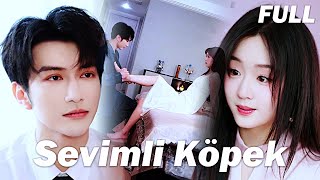 #FULL 💓 Sevimli Köpek -- yi tek seferde izle#dizi #drama #reels #movie #çincediz