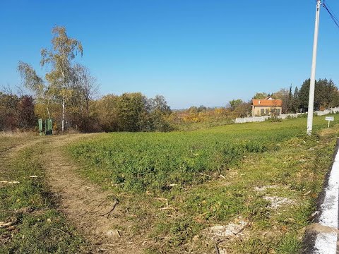 Jam shtatzan dhe vjehrri po cdo dit po ma knaq zogun