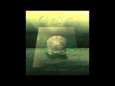 Alarum - Sensory Endeavour