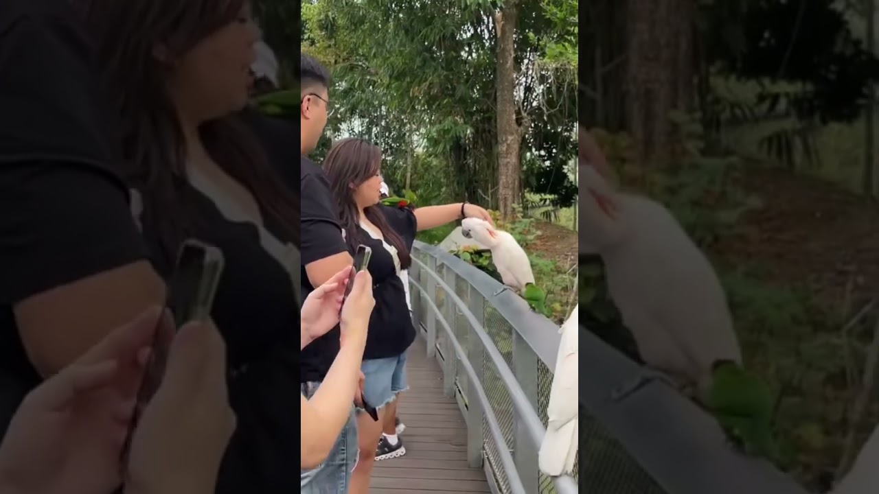 YouTube Short thumbnail