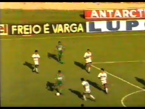 BOTAFOGO-SP 0x8 PALMEIRAS - Campeonato Paulista Série A1 1996 - Bate-Bola (TV Thathi)