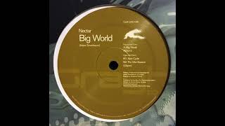 Nectar - Big World