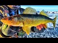Video Thumbnail for Ice Fishing Walleyes (Echo Lake Saskatchewan)