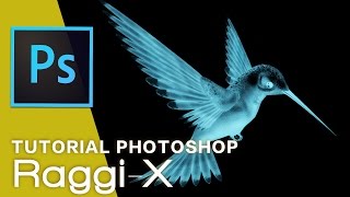 Photoshop Xray Clothes Tutorial : Is It Possible To Add Clothes On