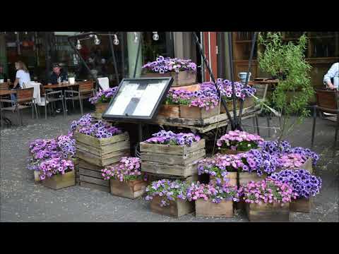 Hamburg. Hafen City.  24. 05. 24.