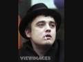 Pete Doherty - I Love You (But You're Green)