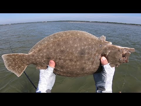Fishing Flats for Flounder on YouTube