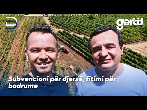 Subvencioni për djersë, fitimi për bodrume | Betimi per Drejtesi