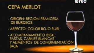 CLASES DE VINOS - CONOCE LOS DIFERENTES TIPOS DE VINOS