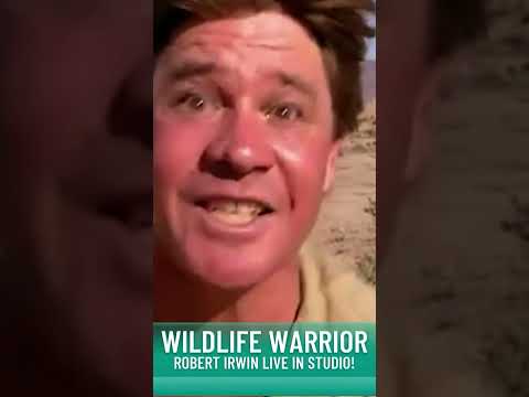 Robert On Following In Steve Irwin's Footsteps ✨
