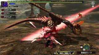 【MHXX】狩猟日記　つつかれて、またつつかれて