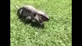 Nakakadiri promise..