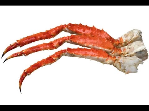 download lagu mp3 mp4 King Crab Meat To Shell Ratio, download lagu King Crab Meat To Shell Ratio gratis, unduh video klip King Crab Meat To Shell Ratio