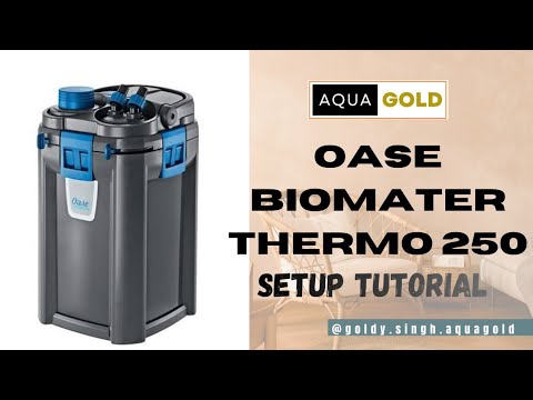 Oase Biomaster Thermo 250 setup/ world's best canister filter for aquarium 