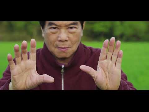 Tai Chi with Mantak Chia - Intro video