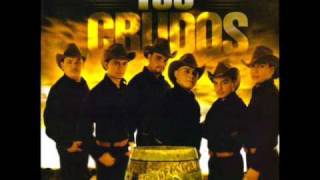 LOS CRUDOS DE DURANGO - SIN TU AMOR