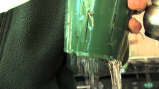 How to Get Orchids to Re-bloom