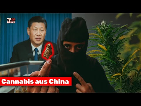 Legalisierung gescheitert? Chinagras bringt Deutschland ans Limit | Doku HD