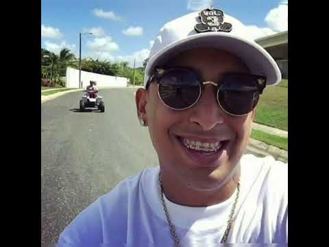 En La Disco Se Guillo 😎 Ñengo Flow Ft Dámaso y Lt