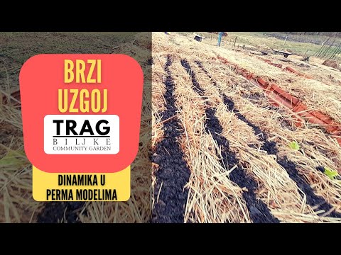 BRZI UZGOJ - DINAMIKA U PERMA MODELIMA