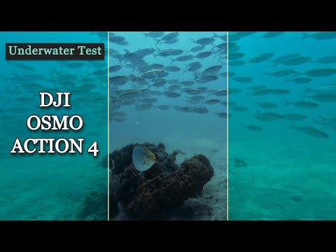 DJI Osmo Action 4 | Underwater Test | Impressions