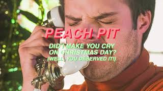 Peach Pit - Did I Make You Cry On Christmas Day? (Sufjan Stevens Cover)