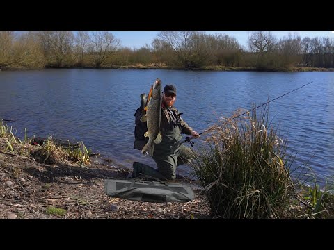 Can I Catch  a Monster PIKE  From a Private Carp Fishery?