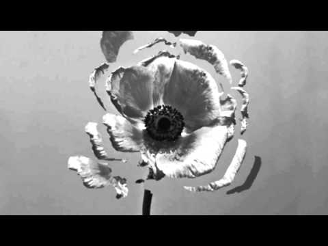 Rolling Waves video