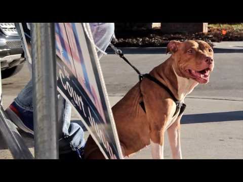 FIEND "CORNER STORE"