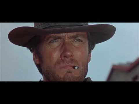 mój muł nie lubi gdy ludzie się śmieją