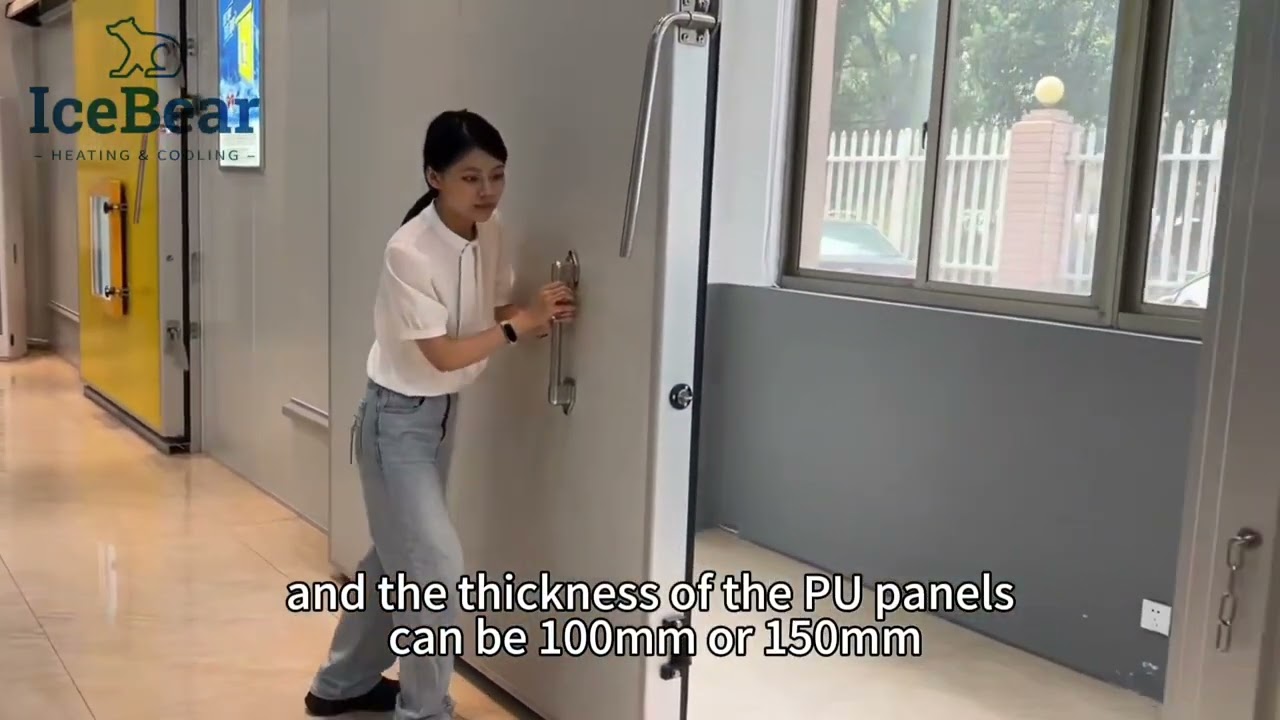 Cold Room Sliding Door – Space Saving and Insulated Solution for Cold Storage Access