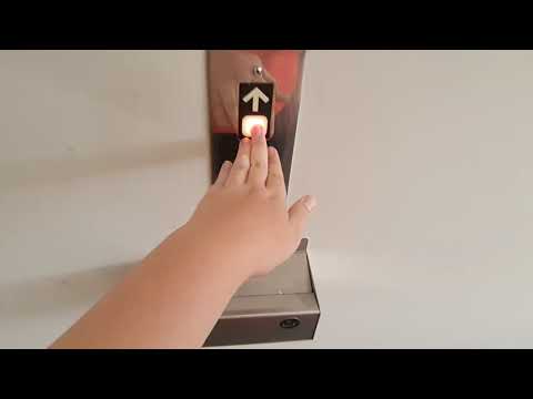 September 8, 2021 Update: The ACTUAL Final Ride On The Dover! Almost Finished, But Not In Service