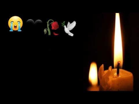 Ava’s Tragic Farewell | Sadegh & Farideh’s Heartbreaking Loss | Lady Channel Documentary