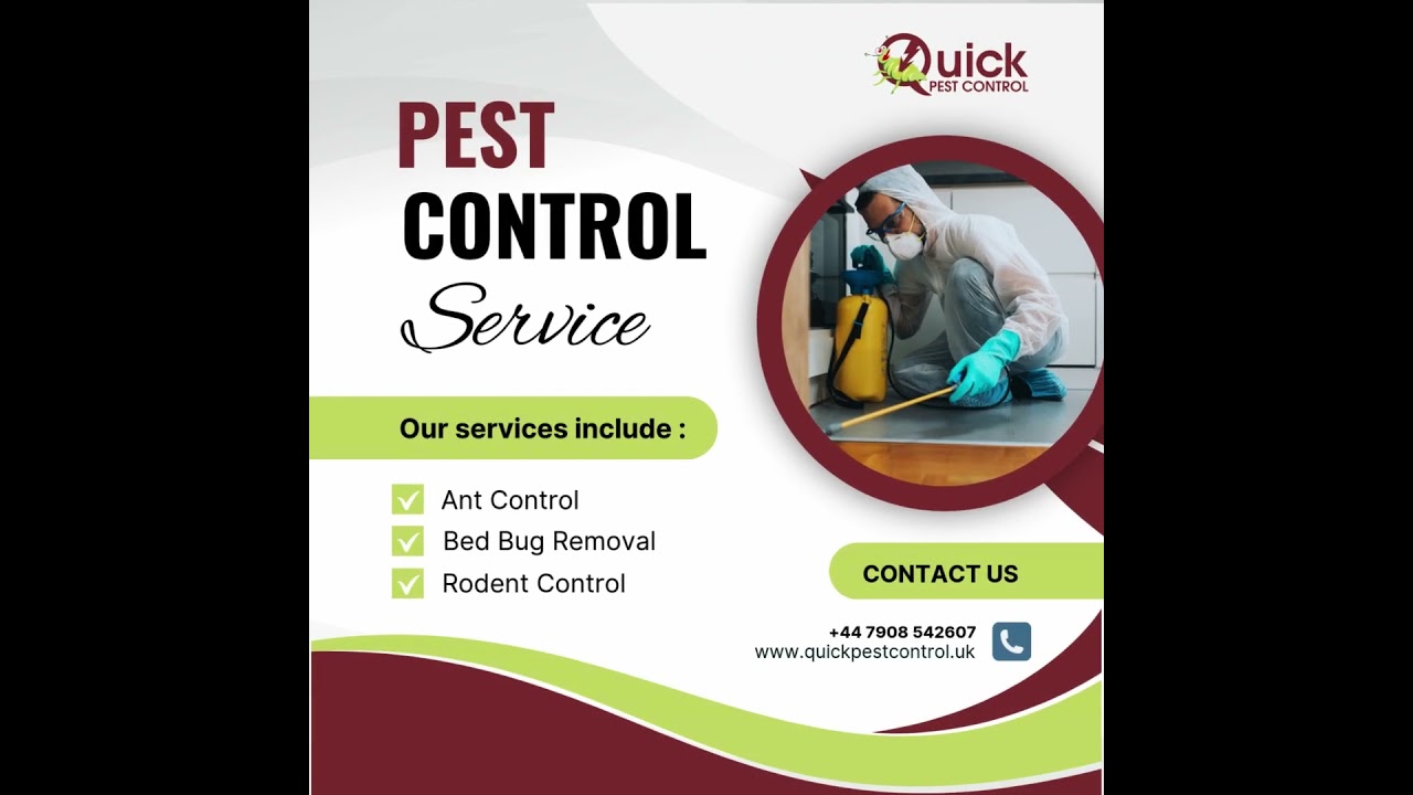 Protect your space with expert pest control solutions | Quick Pest Control