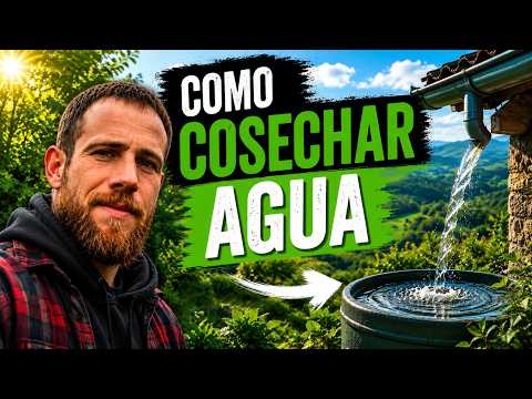 No pierdas ni una gota. Cómo captar y almacenar agua para tu proyecto autosuficiente.