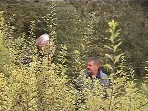 9 Spielplatz an der Schule mpg