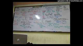 17) Dr. wael salah CRVO and diabetic retinopathy  (general)