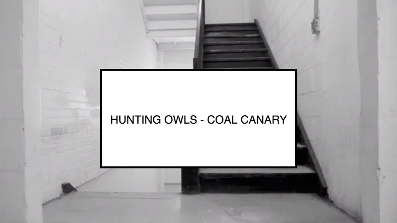 Promotional video thumbnail 2 for Daniel Joseph Cohen