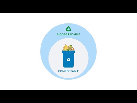 Sustainability 101: Compostable vs. Biodegradable