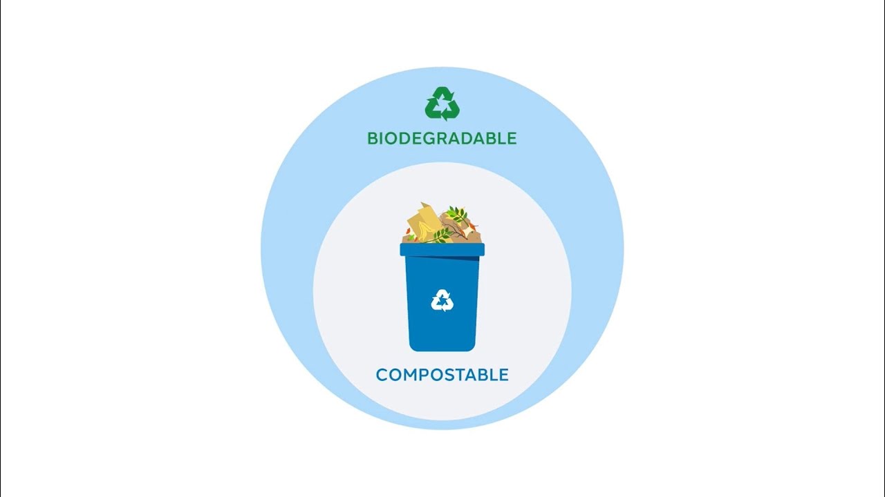 Sustainability 101: Compostable vs. Biodegradable