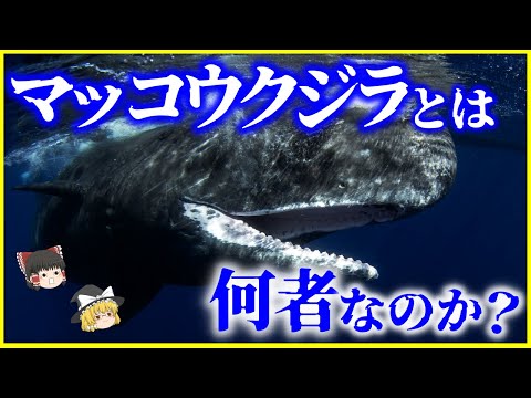 IUCN分類における絶滅の危険性を示す図。