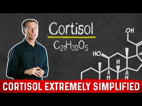 The Only Way to End Stress and Lower Cortisol