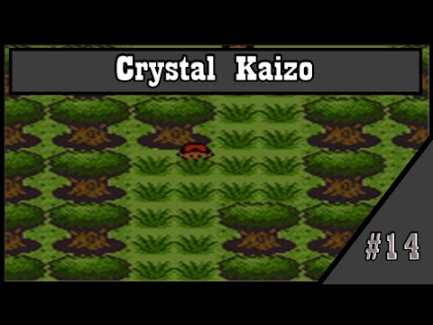 Pokemon Crystal Kaizo: Part 14 - National Park / Route 36 Battle
