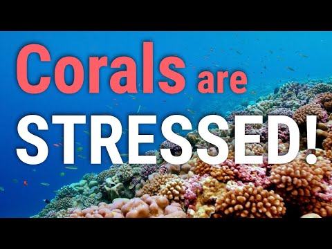 Inspired to Understand - Amy Apprill